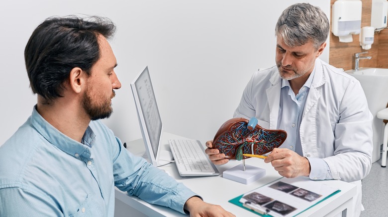 Doctor with liver model talking with male patient