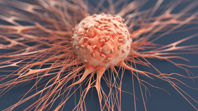 Up close look at a human cancer cell