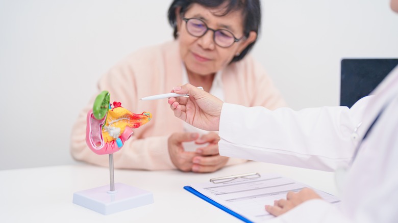 Doctor discussing pancreatic health with an anatomical model