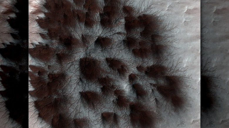 Image showing geologic features on Mars with branched formations