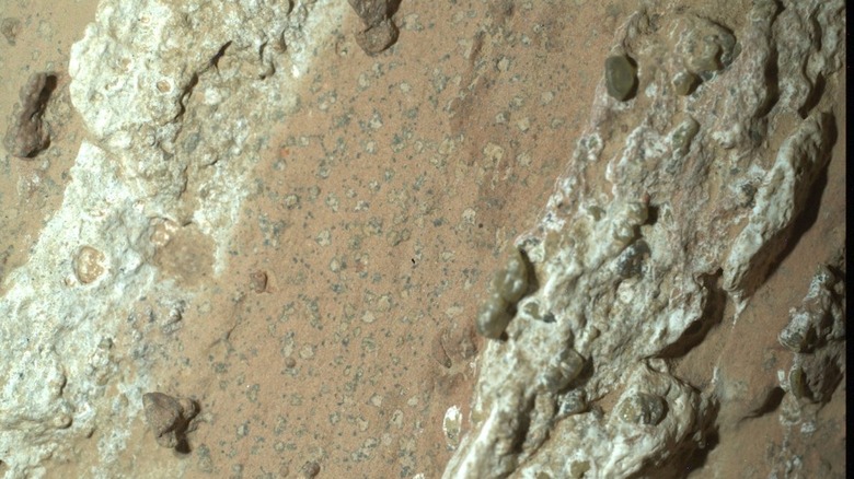 Large rock on Mars that has a speckled design that resembles leopard spots