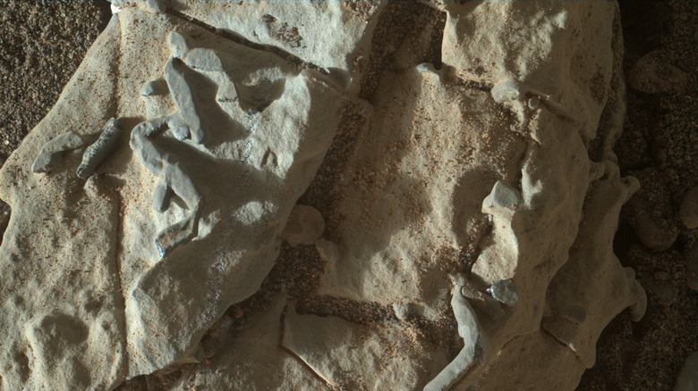 Mineral deposits on Mars that look like animal tracks