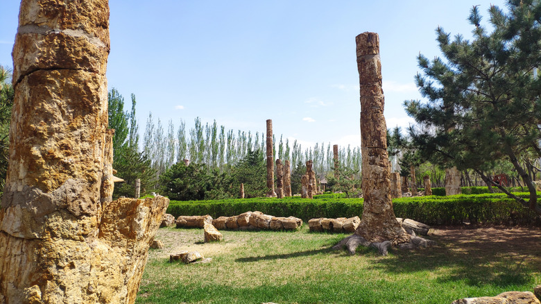 Bird Fossils National Geopark in China