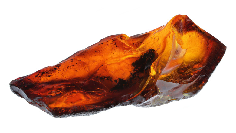 Amber fossil against white background