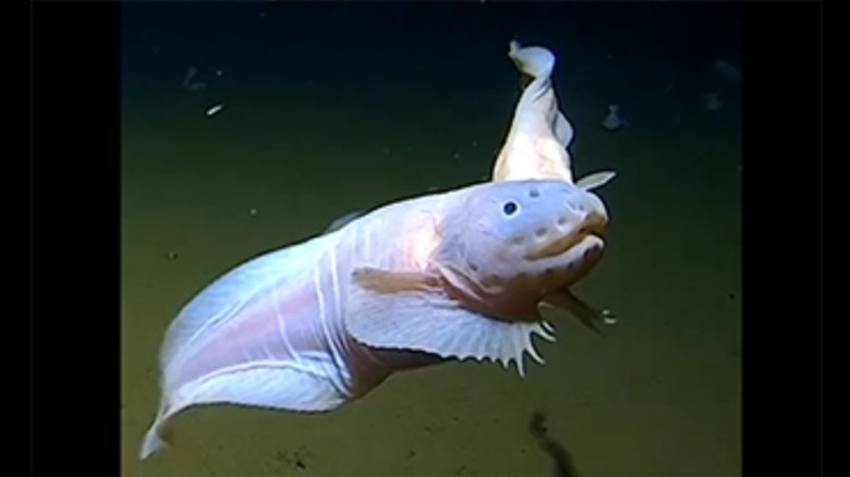 Photo taken deep underwater