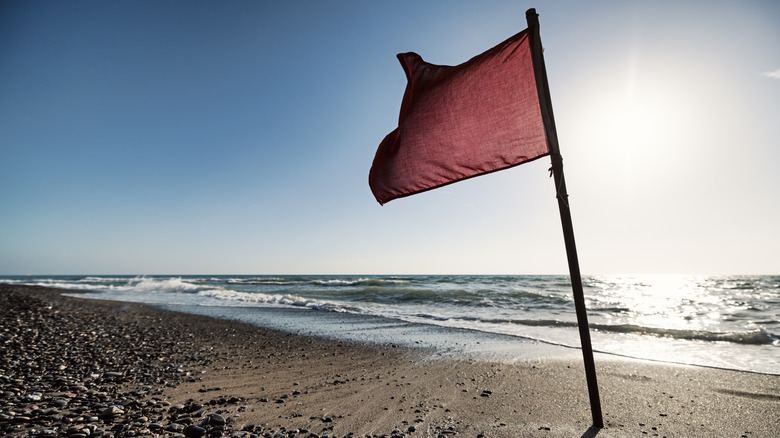 A red flag waving in the wind on a beach