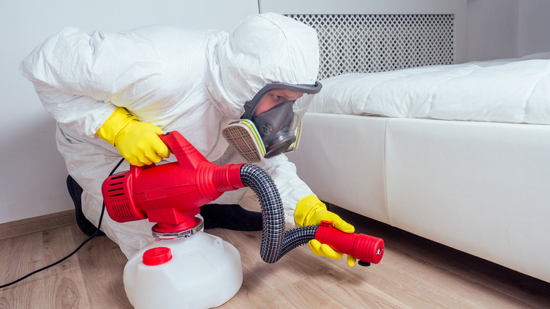 Pest control worker prepares to treat a bed