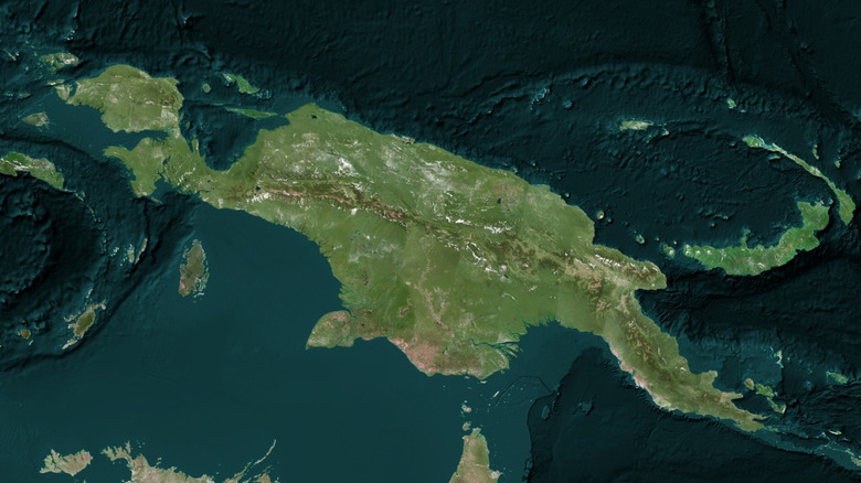 Satellite image of New Guinea