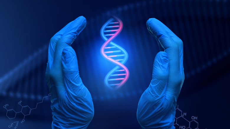 Graphic of gloved hands surrounding glowing DNA model on a blue background