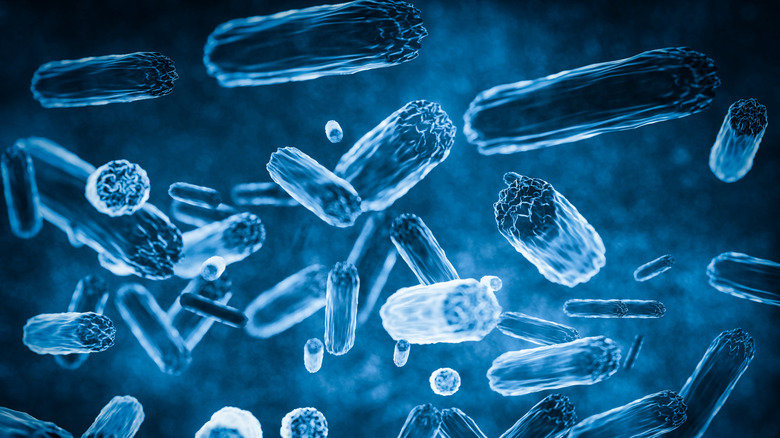 A rendering of bacteria cells