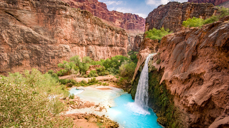 Havasupai oasis in the Grand Canyon