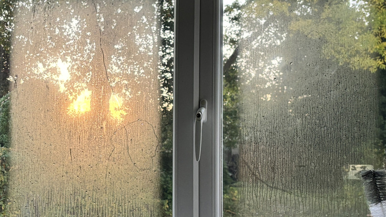 Condensation built up on windows from high humidity