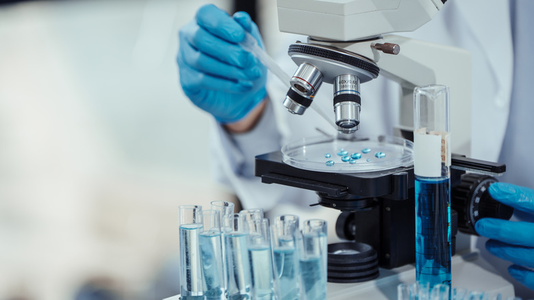 Scientist examining samples under a microscope