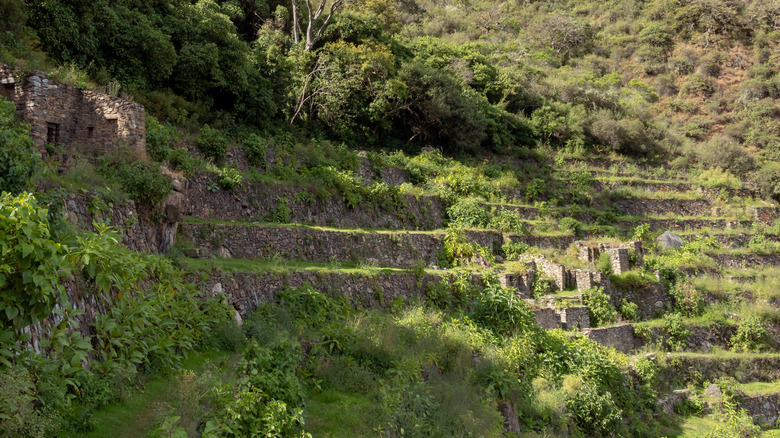 Pinchinuyok ancient Inca ruins with high altitude scenery, mountain peaks and clouds above the green canyon.