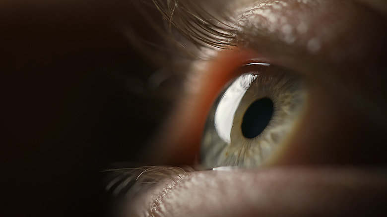 Close up of human eye
