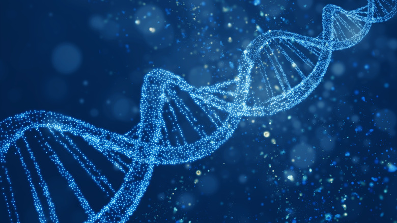 A digital illustration of the double helix structure of DNA.