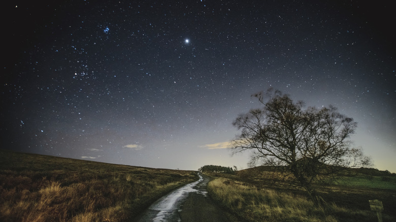 Starry sky above fields and trees