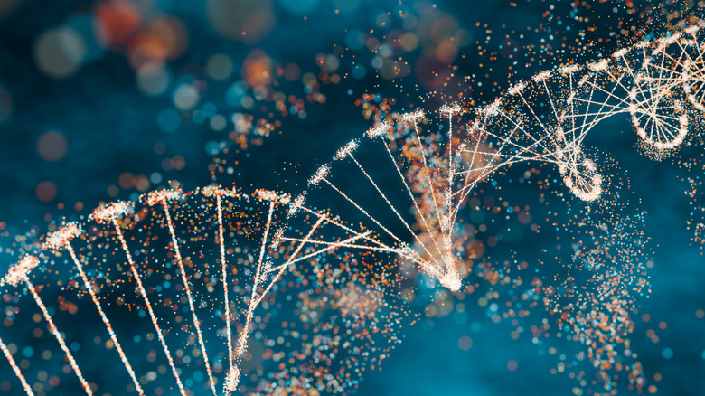 A sparkly rendering of a DNA double helix structure.