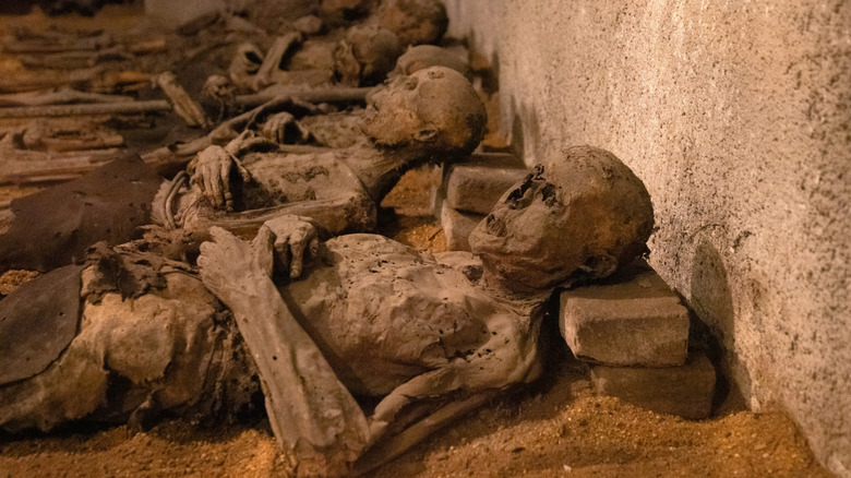 mummies in an ancient crypt