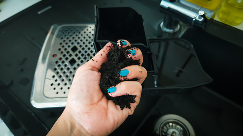 A hand with blue-painted fingernails holds used coffee grounds.