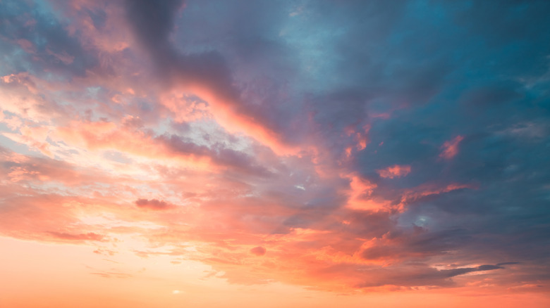 A sunset creates soft pink clouds of pastel tones