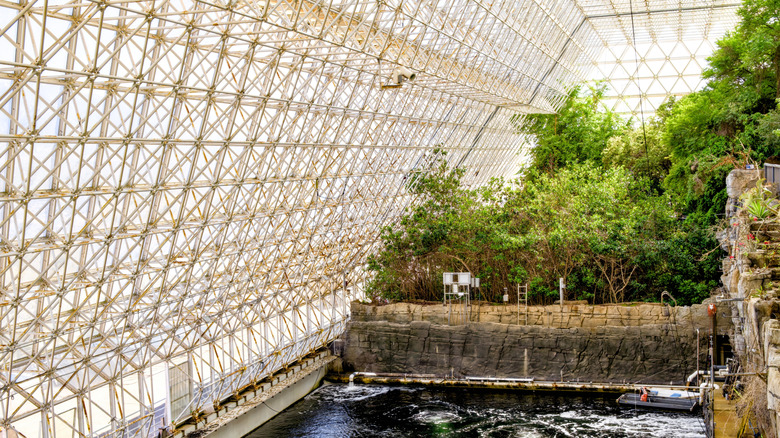 Interior view of trees and water inside Biosphere 2