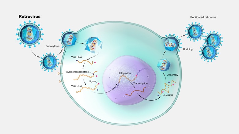 Illustration of virus cells floating with DNA strands