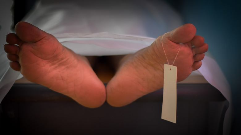 A dead body's feet with a toe tag attached