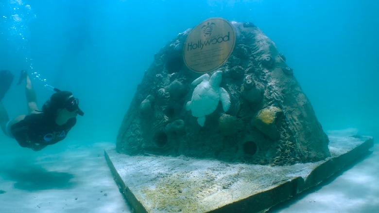 ORAI member snorkeling next to an artificial reef designed with a turtle and Florida's Hollywood plaque attached