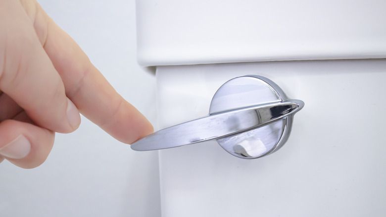 hand pressing a toilet bowl handle with index finger