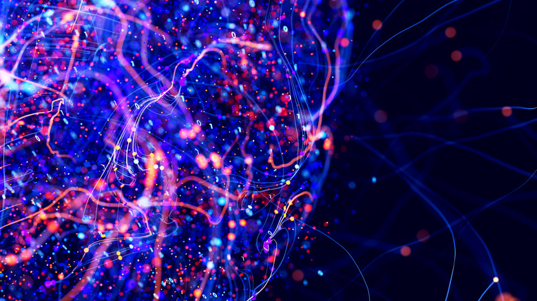 Abstract representation of a circuit-like neural network.
