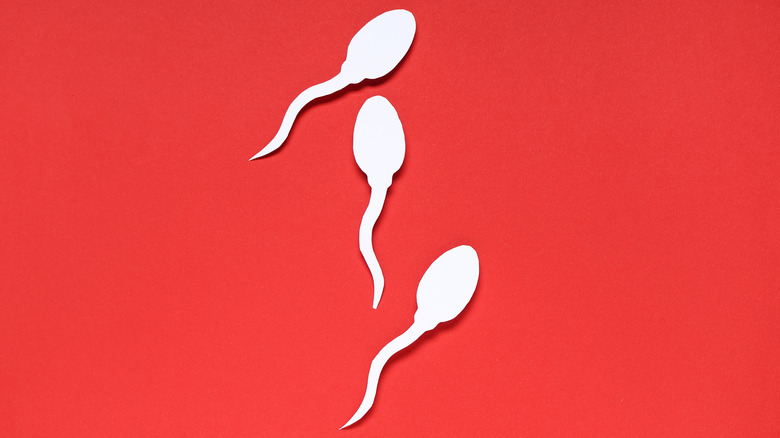 Sperm cells on a red background.