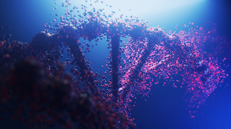 3-D rendering of double helix DNA structure.