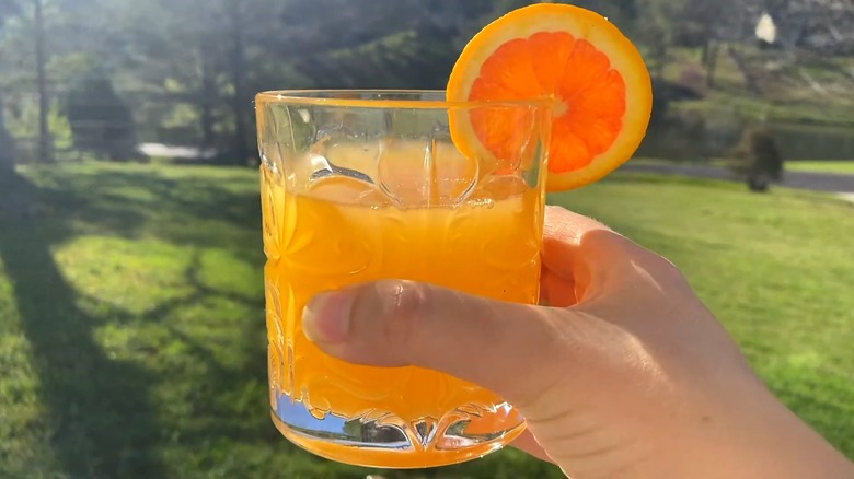 Hand holding an adrenal cocktail with an orange slice for garnish in the sun with greenery in the background