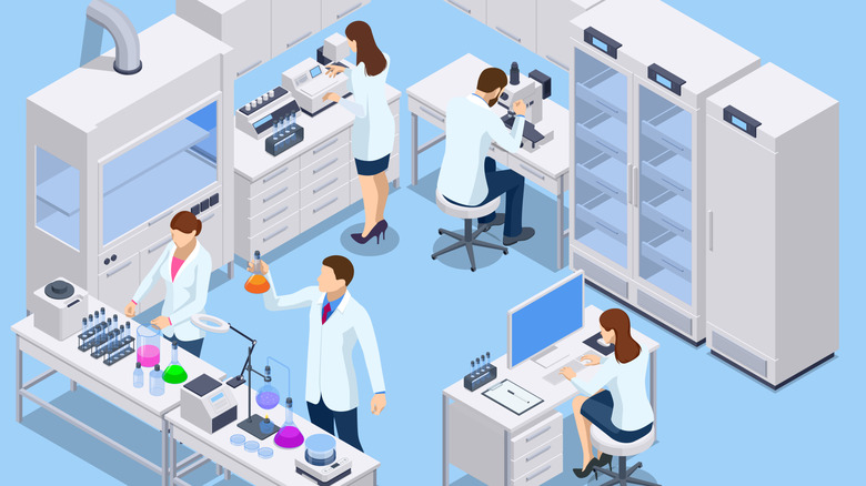 Illustration of a group of scientists working in a laboratory