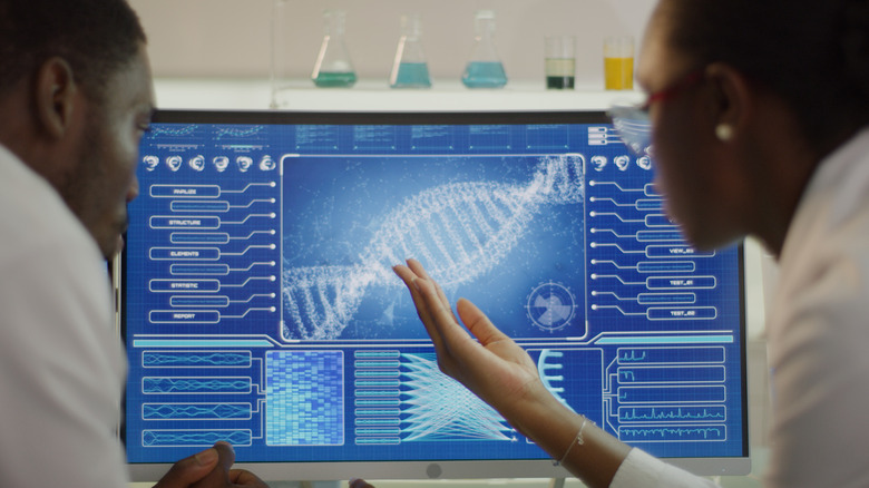 Two scientists look at a computer screen with a model of DNA on it