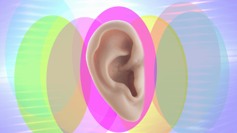 Human ear close up on pink oval with other variously pastel colored ovals