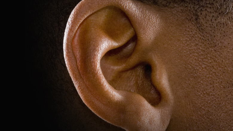 A closeup of a person's ear