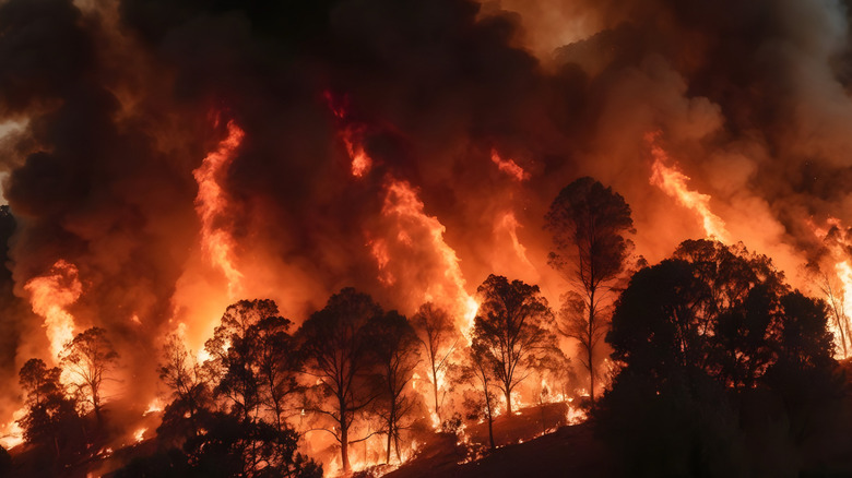 Dark clouds of smoke billowing from a serious wildfire