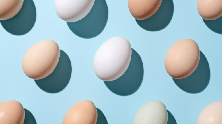 Different color eggs are seen arranged on a light blue background