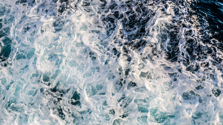An aerial view of ocean waves/