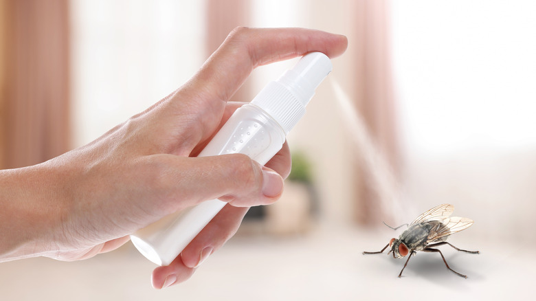 Concept of spraying a fly with a homemade repellent