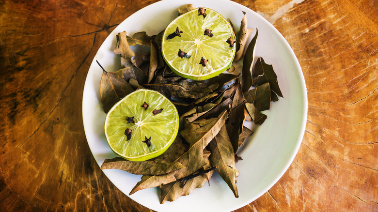 Plate of lime cut in half and flesh side up with cloves on the flesh -- all on a bed of dried laurel leaves