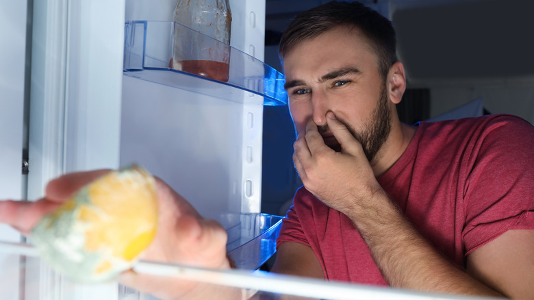 Man disgusted by smell from fridge