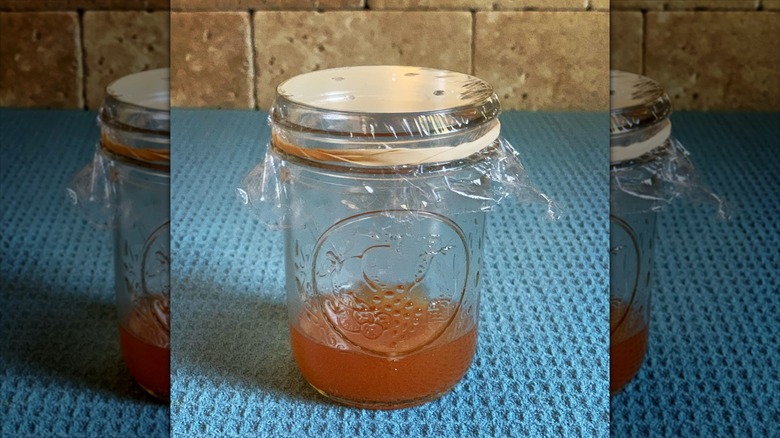 Mason jar and plastic wrap lid with apple cider vinegar and dish soap to trap fruit flies