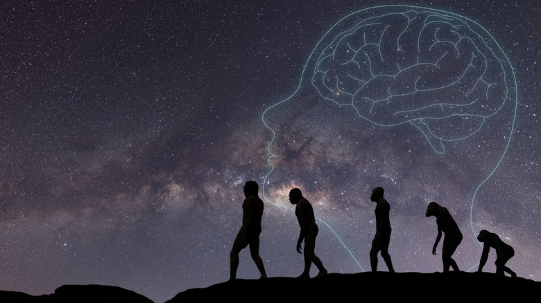 Evolution illustration with starry sky