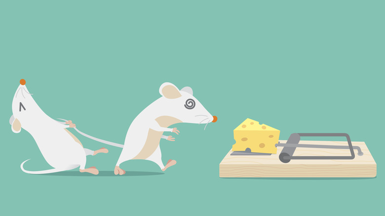 Cartoon concept of a mouse pulling an entranced mouse by the tail away from a trap baited with cheese
