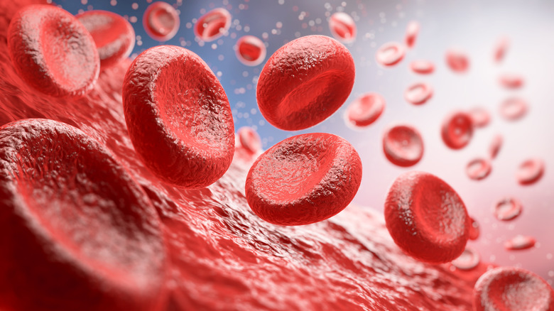 Red blood cells are seen in closeup