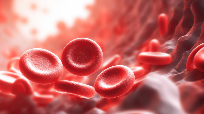 Red blood cells are seen in closeup inside an artery