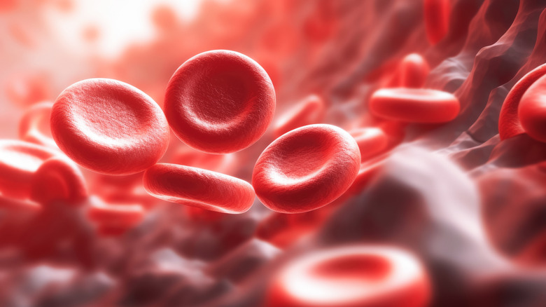 Red blood cells sit in a blood vessel